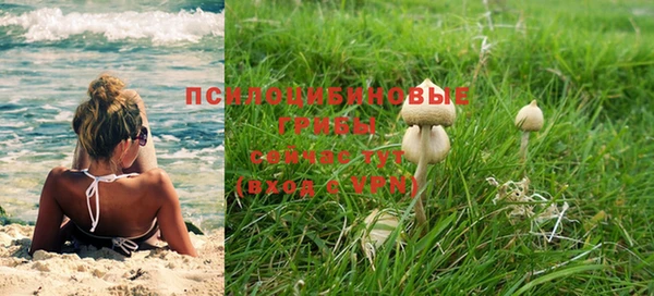 бошки Беломорск