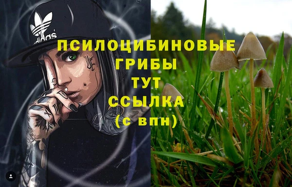дурь Белоозёрский