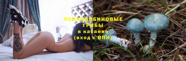 дурь Белоозёрский