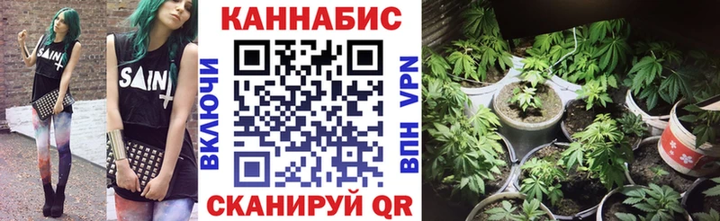 Каннабис планчик  Электросталь 